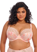 Elomi Lucie Plunge Underwire Bra