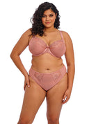 Elomi Teagan Underwire Plunge Bra Ash Rose