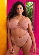 Elomi Teagan Underwire Plunge Bra Ash Rose